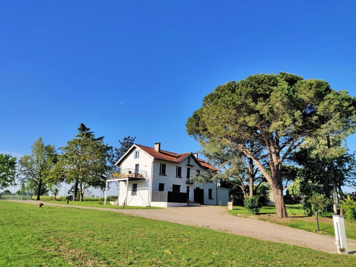 Le Cottage Nature Primeur Sauna Gaillac Entre Albi-Toulouse & Les Cottages Du Tarn Brens  Luaran gambar